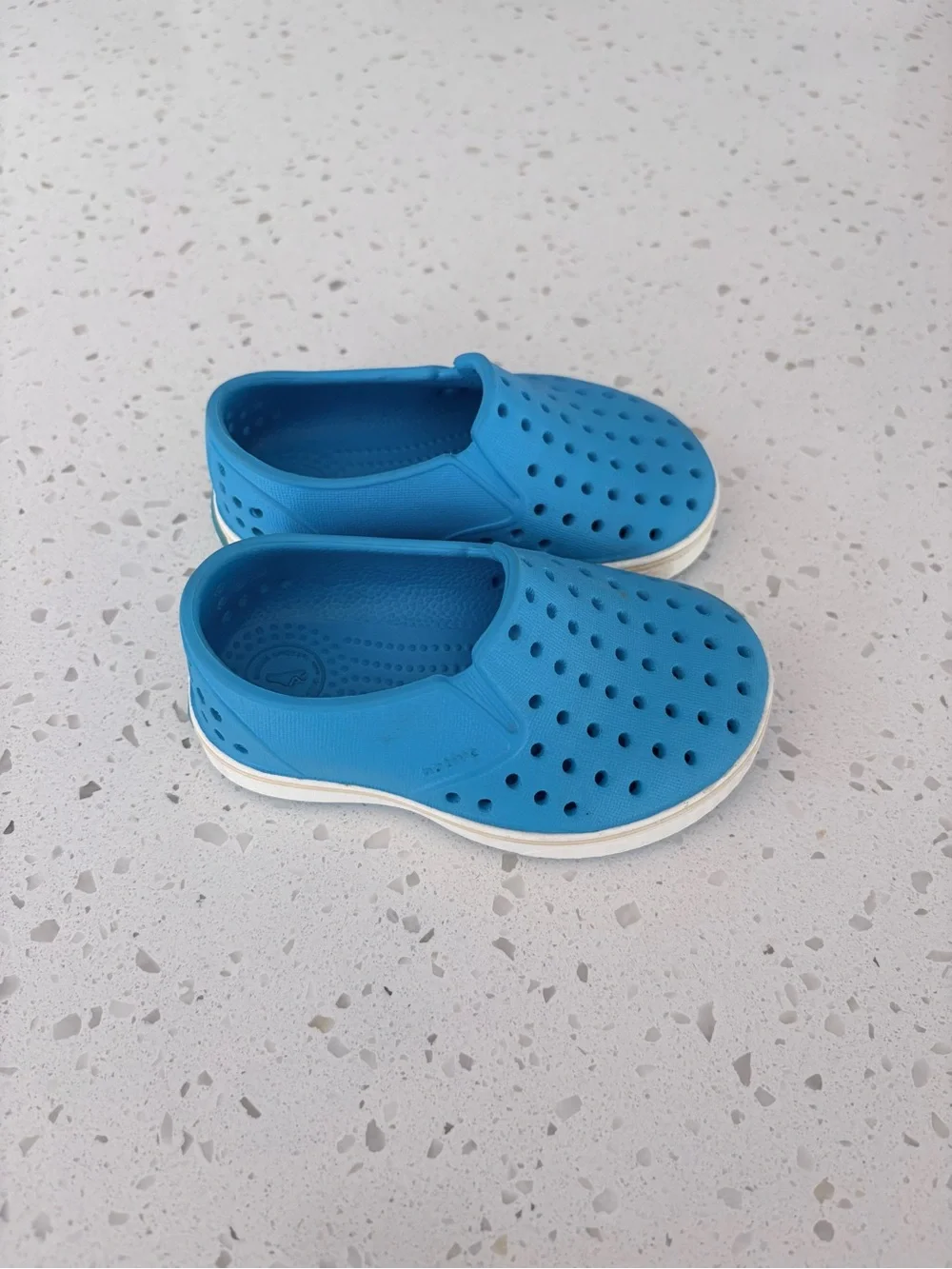 Native Miles Slip-On Sneaker in Royal Blue 5C